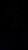 perfexiia Altpins Profile Picture