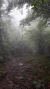 iblowurmind Altpins Profile Picture
