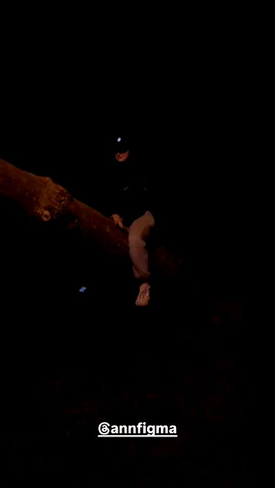 annfigma annfigma archive video