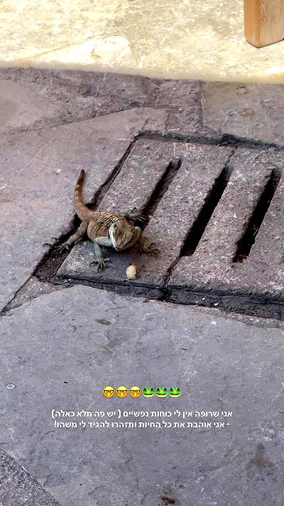 justlerman justlerman archive video