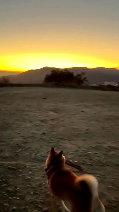 zommmbri zommmbri archive video