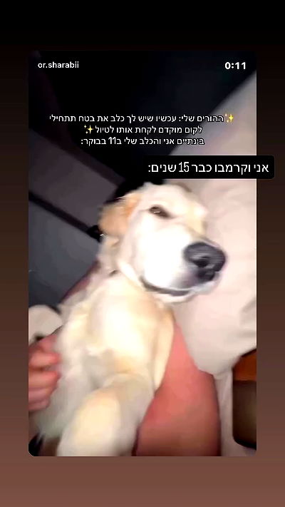 _lil_noa_ _lil_noa_ archive video