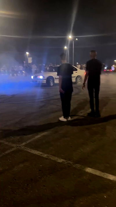 simp_for_cats_ simp_for_cats_ archive video