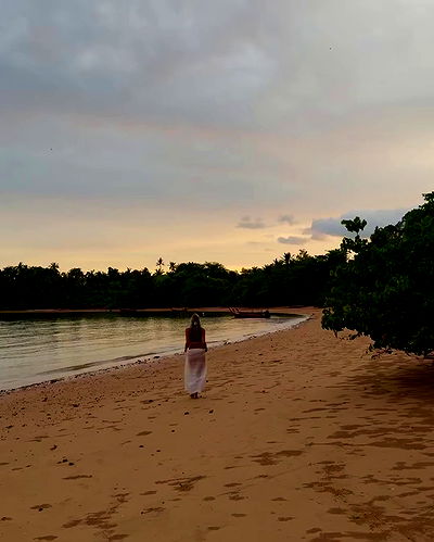 bakedsloths bakedsloths archive video