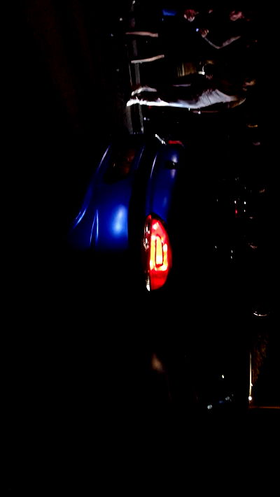 simp_for_cats_ simp_for_cats_ archive video