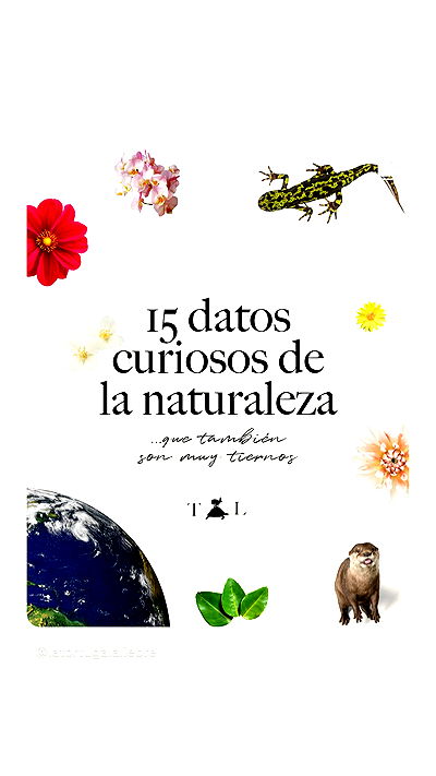 shunli__mei shunli__mei archive video