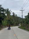 liori_hen Altpins Profile Picture