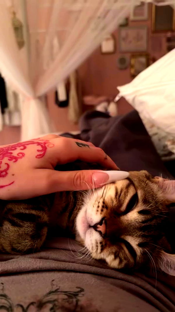 laurinchhhe archive video preview