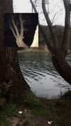 xylia444 Altpins Profile Picture