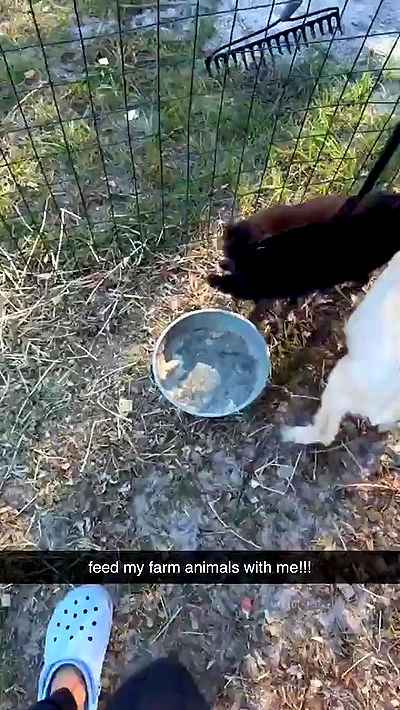 sophieraiin sophieraiin archive video