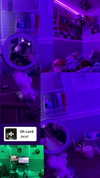 astarwbry_ Altpins Profile Picture