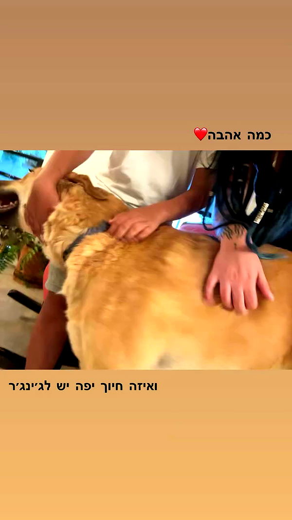 __noalarmnosurprises__ archive video preview