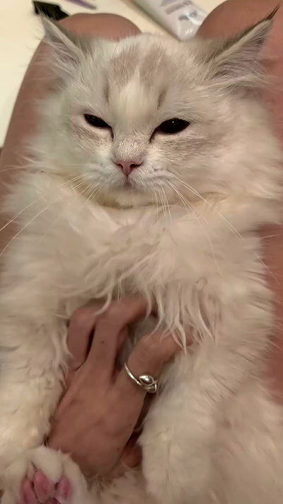 minaxash minaxash archive video