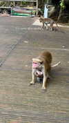 noa_mendel_ Altpins Profile Picture