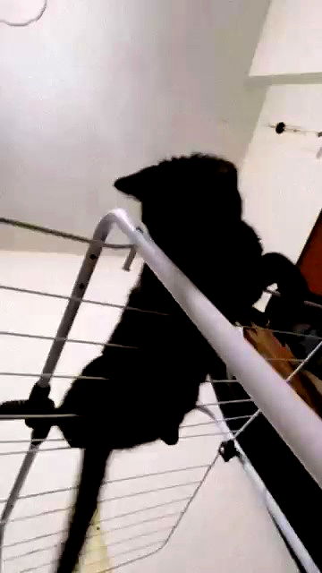 aekamee aekamee archive video