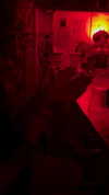 hellowkitty4ever Altpins Profile Picture