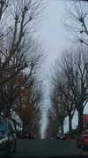 noa_mendel_ Altpins Profile Picture