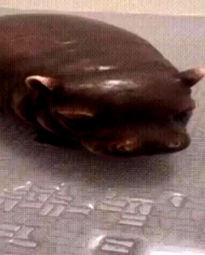 milkgore milkgore archive video