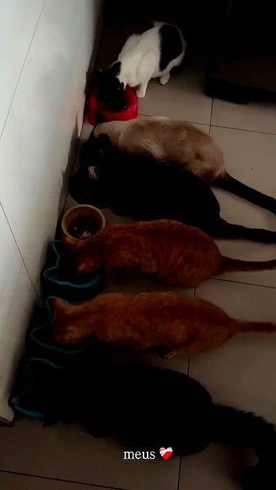 kaarolzx kaarolzx archive video