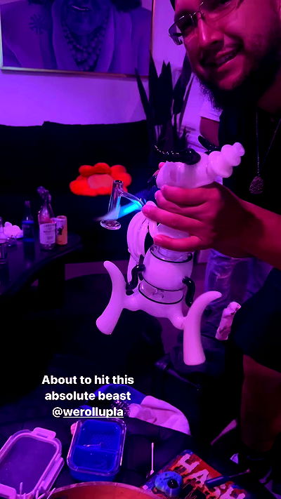 bakedsloths bakedsloths archive video