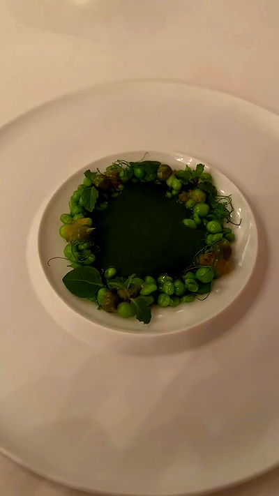 kesemgreenyer kesemgreenyer archive video