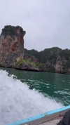 shelly_roberin Altpins Profile Picture