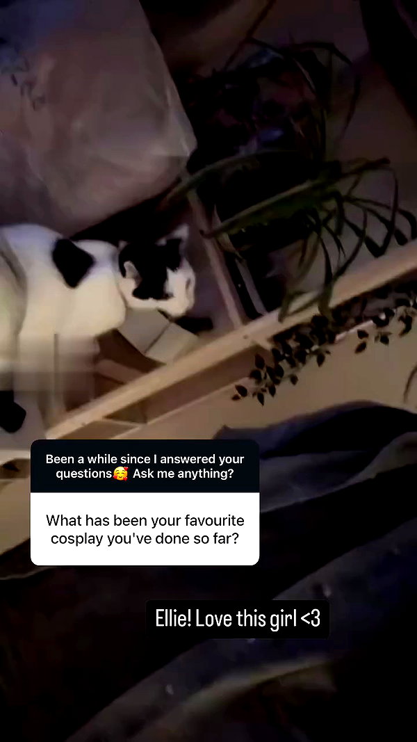 japp_leack archive video preview