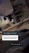 japp_leack Altpins Profile Picture