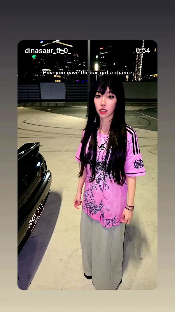 dinasaur_0_0_ archive video preview