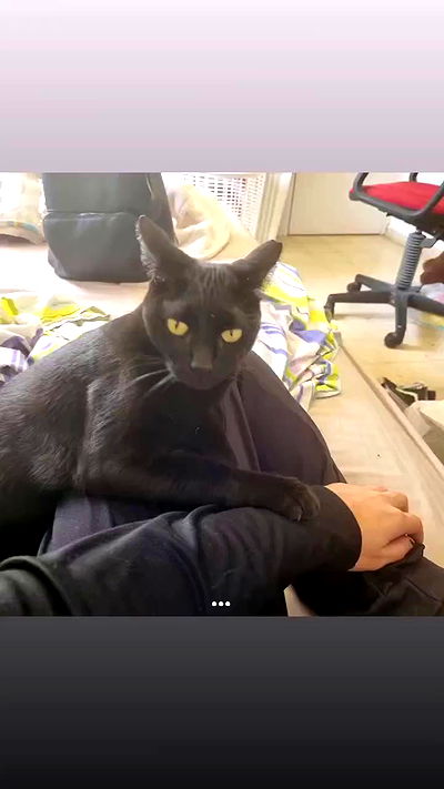 shayli_or shayli_or archive video