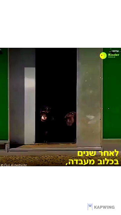 kesemgreenyer kesemgreenyer archive video