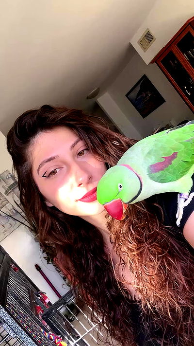 g.a.l.1.a g.a.l.1.a archive video