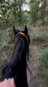 miss_baby007 Altpins Profile Picture