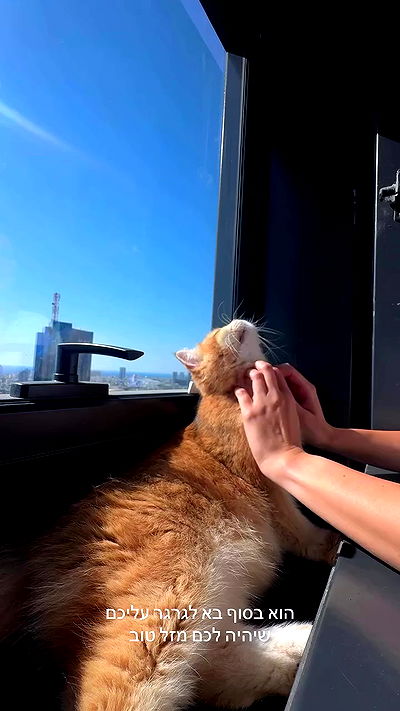 itsilanosh itsilanosh archive video