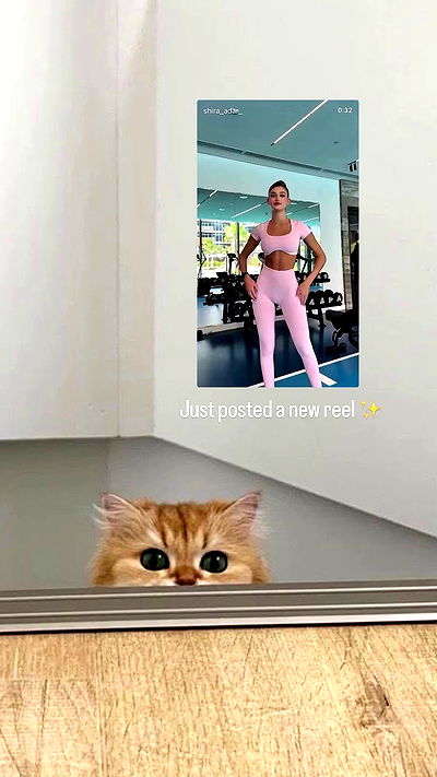 shira_adar_ shira_adar_ archive video