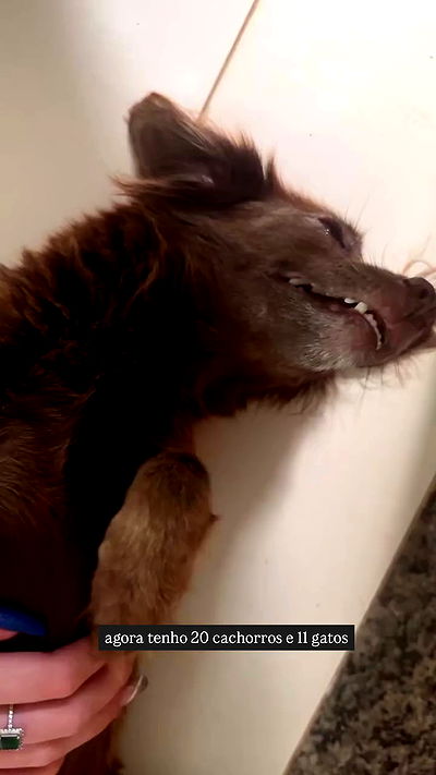 kaarolzx kaarolzx archive video