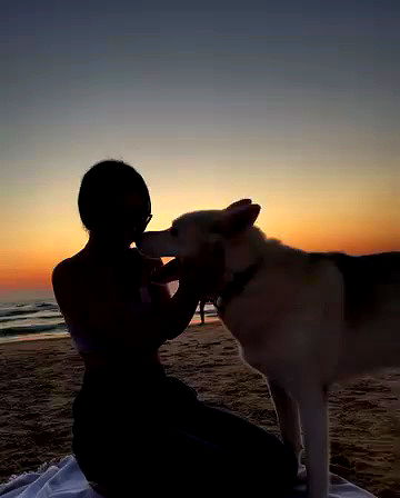 ofir.dg ofir.dg archive video