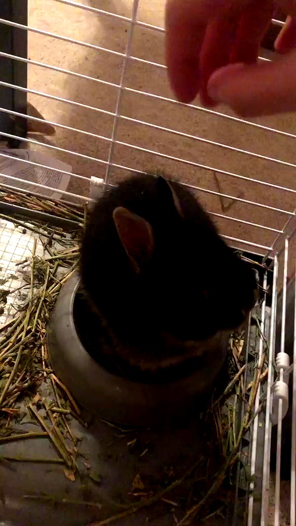 emiru.jpg archive video preview