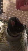 emiru.jpg Altpins Profile Picture
