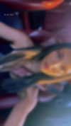 nofar.mitas Altpins Profile Picture