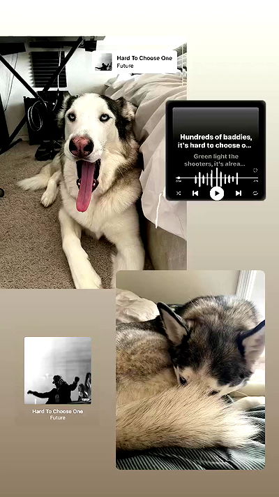 _animechika_ _animechika_ archive video