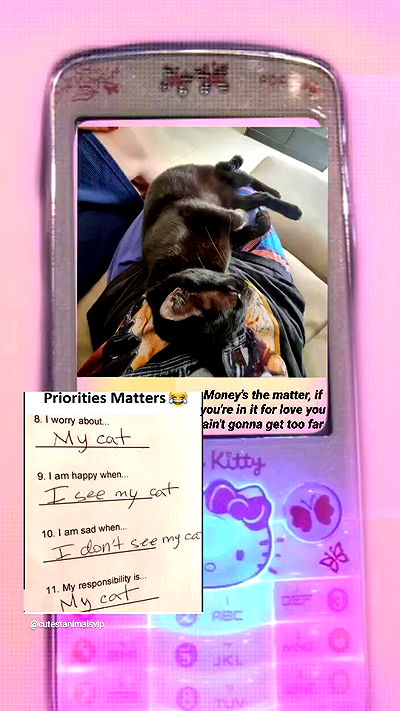 shayli_or shayli_or archive video