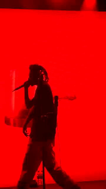 zaperwave archive video preview