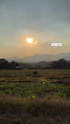 mai_glazer Altpins Profile Picture