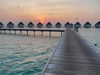 liya_manor_ Altpins Profile Picture