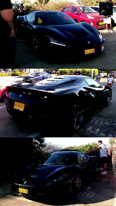 simp_for_cats_ simp_for_cats_ archive video