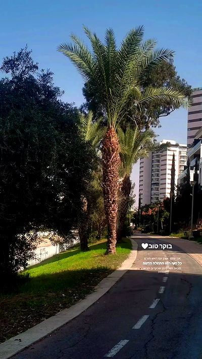 tinapavlov.sky tinapavlov.sky archive video