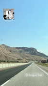 newpoort Altpins Profile Picture