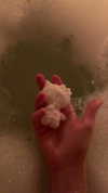algofobica Altpins Profile Picture