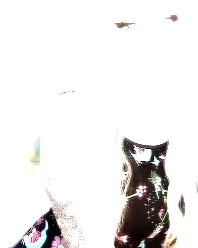 nixxi.cat nixxi.cat archive video